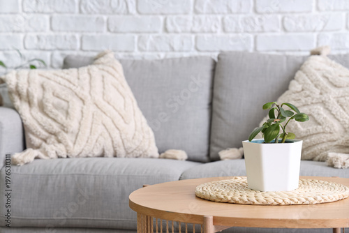 Stylish interior of living room with comfortable sofa, cushions and coffee table with houseplant