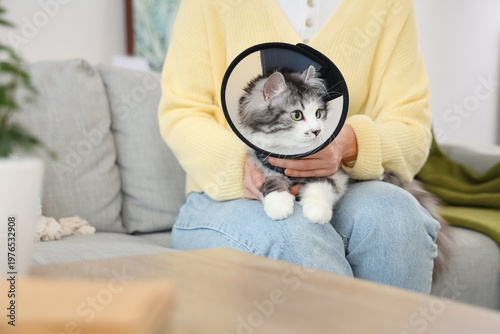 Owner with cute cat wearing...