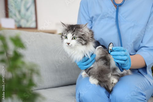 Female veterinarian with st...