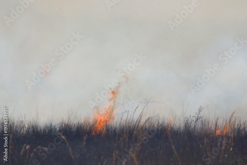 Wild grass/brush fire on prairie or pasture.  