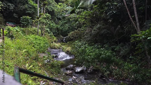 tropical rainforest stream with rocky riverbed dense jungle vegetation and flowing forest water