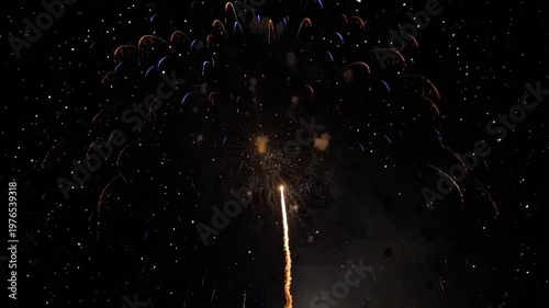 Vibrant Fireworks Exploding in Night Sky.