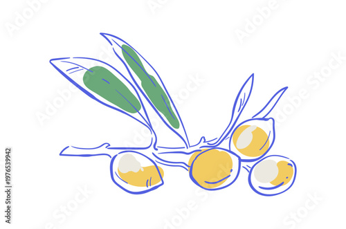 Minimalist coquette olive branch ink line art. Stylized mediterranean leaves with yellow fruit as gourmet accent. Cute hand drawn icon for cafe menu background and restaurant card or social media