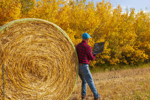 Obraz na plátně a man looks a a computer while leaning against a wheat straw bale  next to aspen
