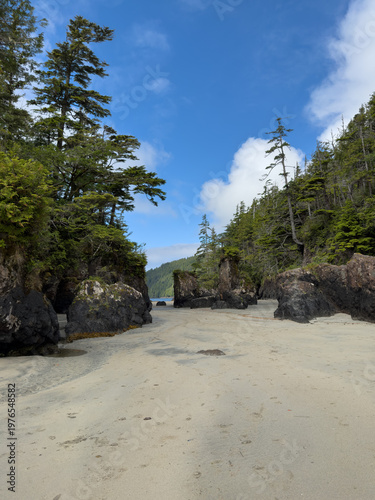 Low tide reveals sea stack rock formations at San Josef Bay on Vancouver Island in Canada