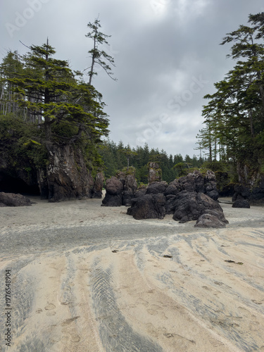 Sea stack rock formations at low tide at Cape Scott Provincial Park