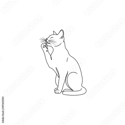 Minimalist line art cat grooming illustration, cute kitten licking paw outline vector isolated on white background