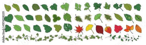 様々な葉のグラフィック素材