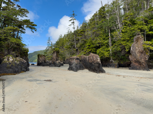 Sea stacks at San Josef Bay on Vancouver Island