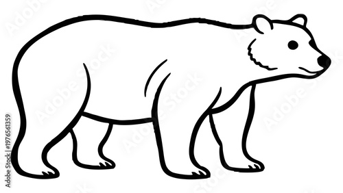 Minimalist bear drawing line art standing polar or brown bear silhouette on white background.