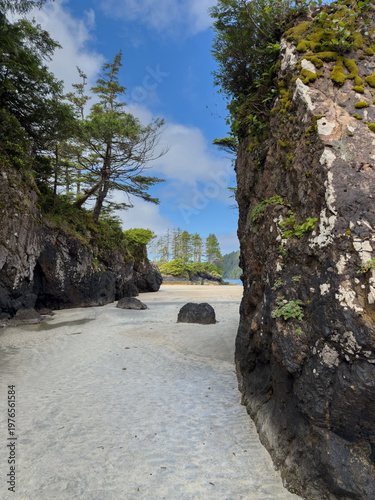 Rock formations on the beach at low tide