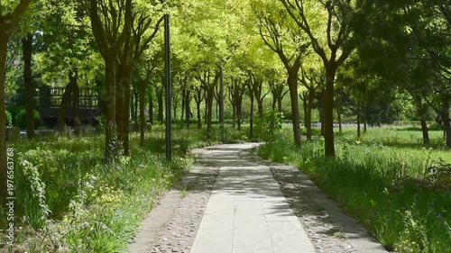 Spring Park Tree-Lined Path: Fresh Green Daily Scenery