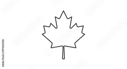 Minimalist vector graphic illustration of a canadian maple leaf shape featuring clean simple black outlines isolated on a white background for professional creative design projects