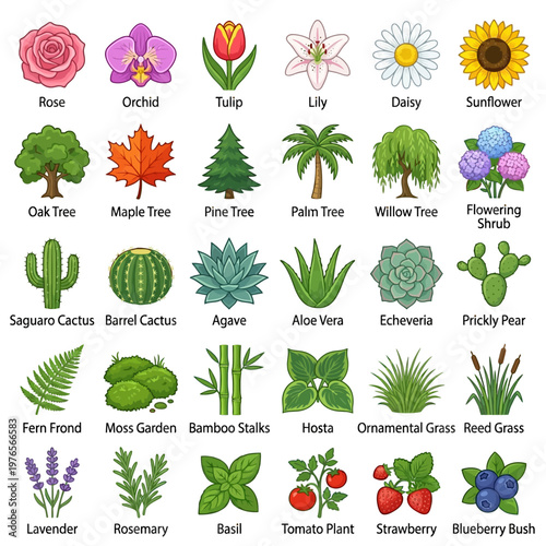 Showcasing a diverse botanical garden flora set, featuring various plants, trees, flowers, and edibles as clean, isolated illustrations.