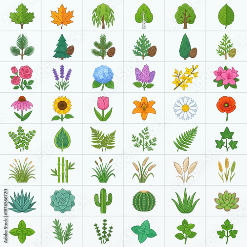 Diverse botanical garden symbols set featuring a vibrant collection of trees, flowers, plants, foliage, and natural icons.