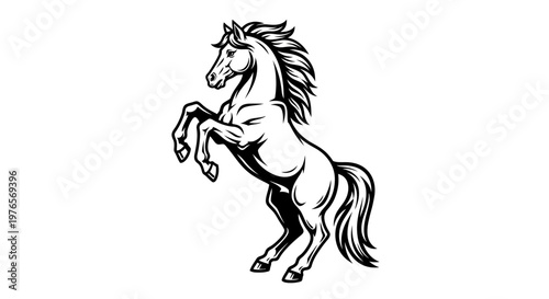 Detailed black and white illustration of a majestic horse rearing up on its hind legs, showcasing power and elegance.
