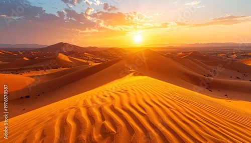 Golden expanse beneath a radiant sun