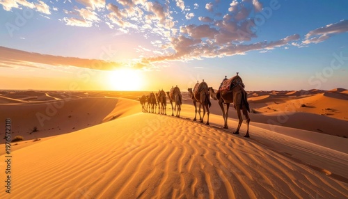 Golden dunes and a caravan's journey
