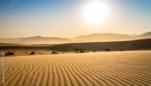 Golden expanse under a radiant sun