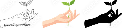 Human Hand Carefully Holding a Young Growing Plant Seedling