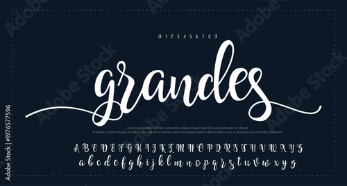 Brush Font Type Font lettering handwritten. vector illustration 