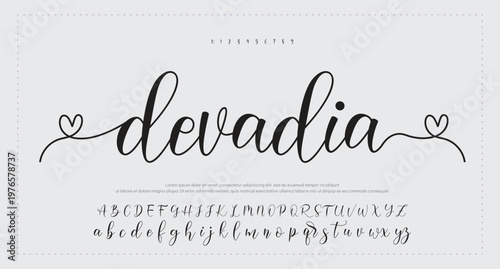 Script Brush Font Type Font lettering handwritten. vector illustration  