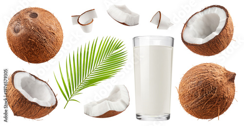 Fotografie Isolated coconut set