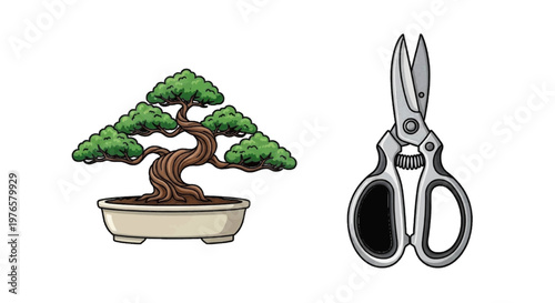 Vector illustration of bonsai tree in a ceramic pot and gardening shears for pruning on transparence background