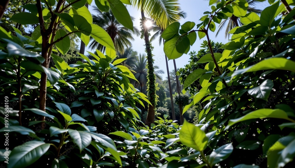 Fototapeta premium Sunlit Jungle Canopy with Verdant Palm Foliage