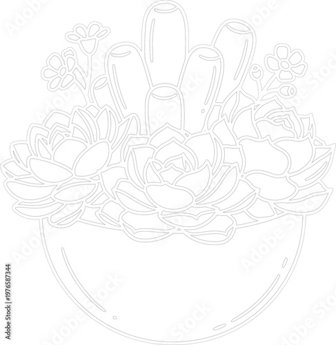 Succulent Plant Outline Art, Hand Drawn Botanical Illustration