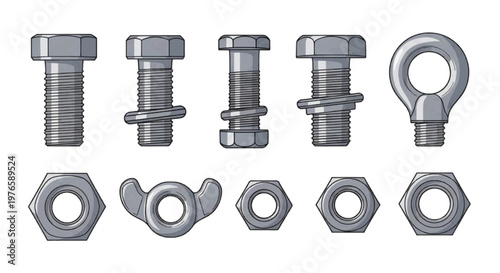 Vector illustration of set of various metal bolts and nuts on a transparent background