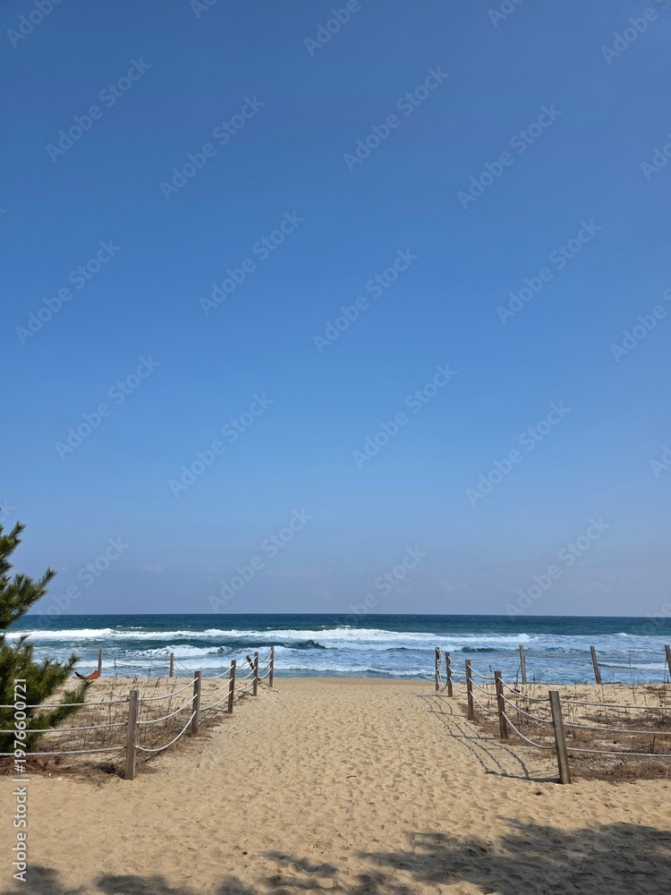 Fototapeta premium Sandy path leading to the blue sea with rope fences under a clear sky