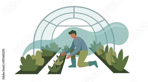 Male Gardener Tending to Plants in a Sustainable Greenhouse