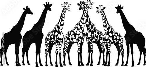 Dynamic black silhouette of an expressive female dancer jumping in midair with flowing messy hair isolated on a white background.