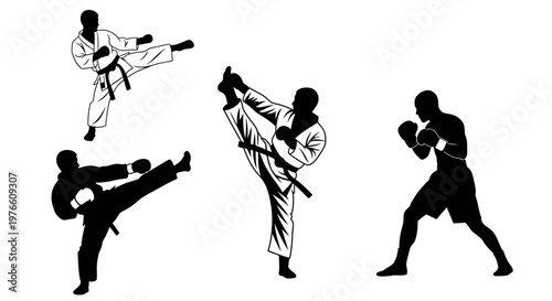 Silhouettes of martial artists and boxers demonstrating various combat sports techniques and dynamic poses.