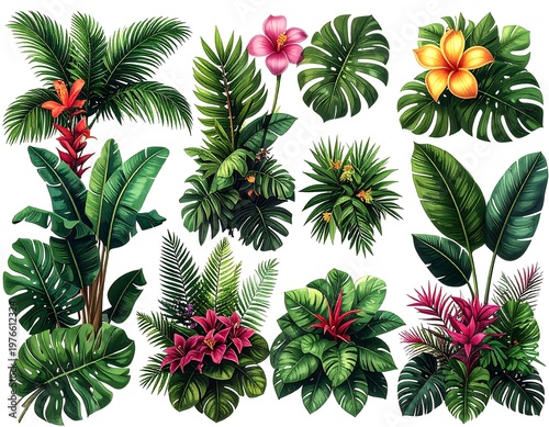Vibrant Tropical Plant Assortment with Exotic Flowers.