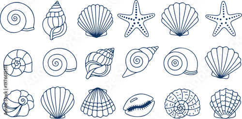 Ocean Treasures: A collection of intricately drawn seashells and starfish, each a unique masterpiece of oceanic design.