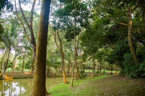 A tranquil tropical forest park with trees reflected in a calm riverbank landscape.
