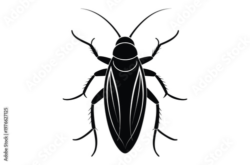A stark black silhouette of a cockroach facing directly toward the viewer