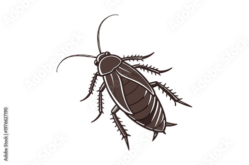 Illustration of a brown cockroach with long antennae and spiny legs