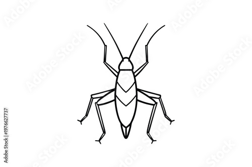 Simple line drawing of an insect resembling a grasshopper or cricket