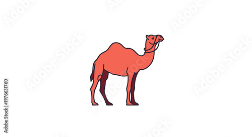 A majestic camel stands proudly against a plain white backdrop, showcasing its unique features.