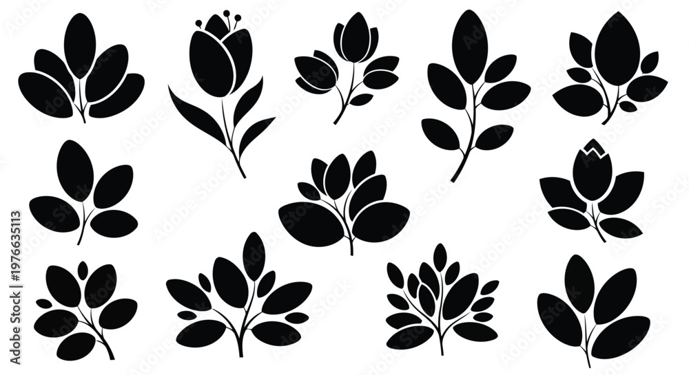 Obraz premium A collection of different black flower silhouettes