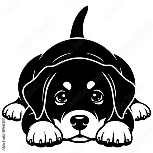 A cute black and white puppy lying on its belly with a happy expression isolated on transparent background, Vector