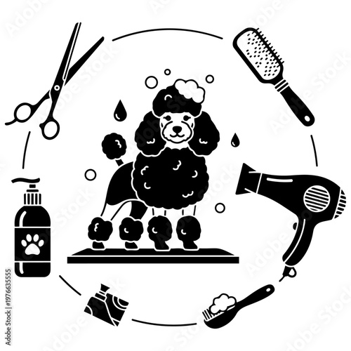 A black and white image of a poodle getting groomed isolated on transparent background, Vector