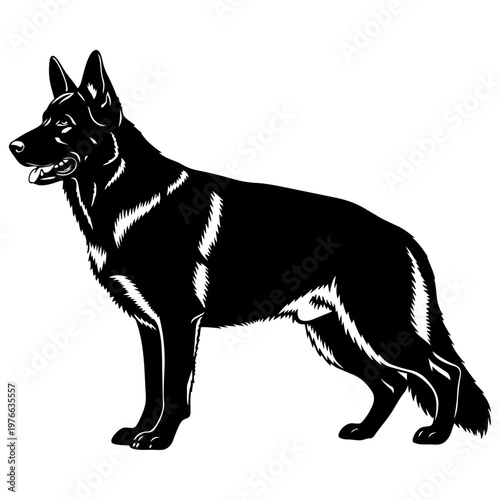 A black and white image of a german shepherd dog isolated on transparent background, Vector