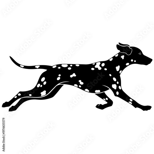 A black and white dalmatian dog running isolated on transparent background, Vector