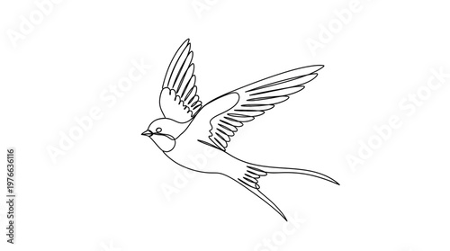 swallow bird flying continuous one line drawing on isolated white background.e bird wings spread in flight outline for spring season concepts