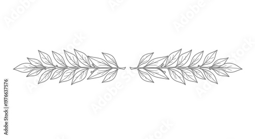 Detailed illustration of leafy branch design.