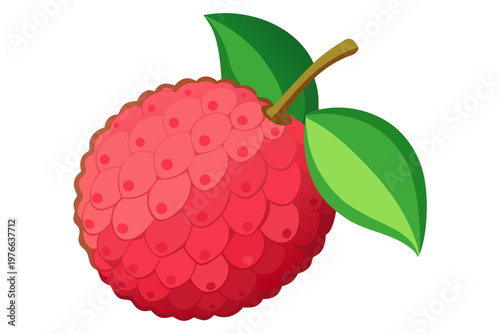 ripe raspberry isolated on white